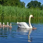 Chalet Jak Tu Ladnie - Rodzinne Domki Nad Jeziorem Z Atrakcjami I Domowa Kuchnia I Mazury Mikolajki (Mragowo)