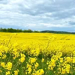 Jak Tu Ladnie - Rodzinne Domki Nad Jeziorem Z Atrakcjami I Domowa Kuchnia I Mazury