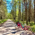 Tu Ladnie - Wypoczynek Blisko Natury I Domowa Kuchnia I Wakacyjne Przyjemnosci I Mazury Σαλέ