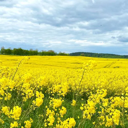 Tu Ladnie - Wypoczynek Blisko Natury I Domowa Kuchnia I Wakacyjne Przyjemnosci I Mazury
