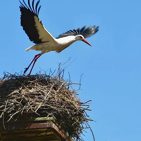 Tu Ladnie - Osada I Siedlisko Chalet Mikolajki (Mragowo)