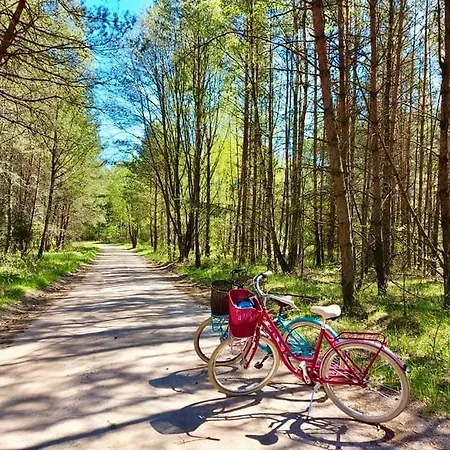 Tu Ladnie - Wypoczynek Blisko Natury I Domowa Kuchnia I Wakacyjne Przyjemnosci I Mazury Chalet