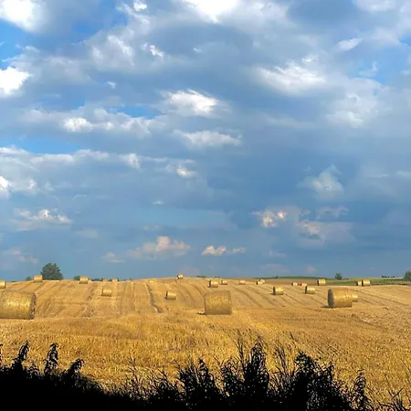 Tu Ladnie - Wypoczynek Blisko Natury I Domowa Kuchnia I Wakacyjne Przyjemnosci I Mazury * Mikołajki