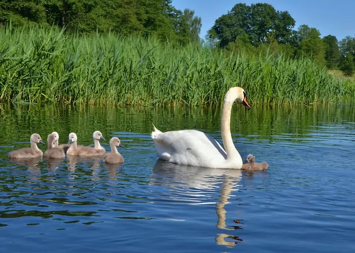 Horská chata Jak Tu Ladnie - Rodzinne Domki Nad Jeziorem Z Atrakcjami I Domowa Kuchnia I Mazury Mikołajki
