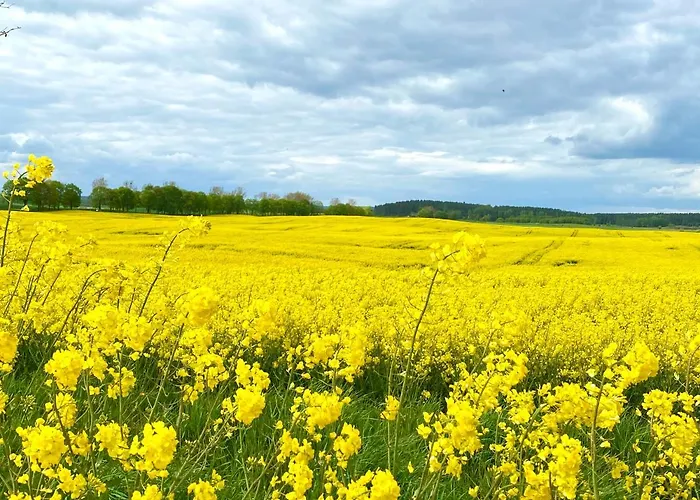 Jak Tu Ladnie - Rodzinne Domki Nad Jeziorem Z Atrakcjami I Domowa Kuchnia I Mazury