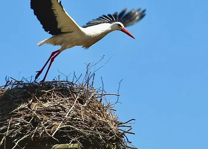 Jak Tu Ladnie - Rodzinne Domki Nad Jeziorem Z Atrakcjami I Domowa Kuchnia I Mazury Horská chata Mikołajki