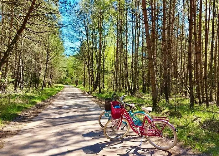Jak Tu Ladnie - Rodzinne Domki Nad Jeziorem Z Atrakcjami I Domowa Kuchnia I Mazury Horská chata