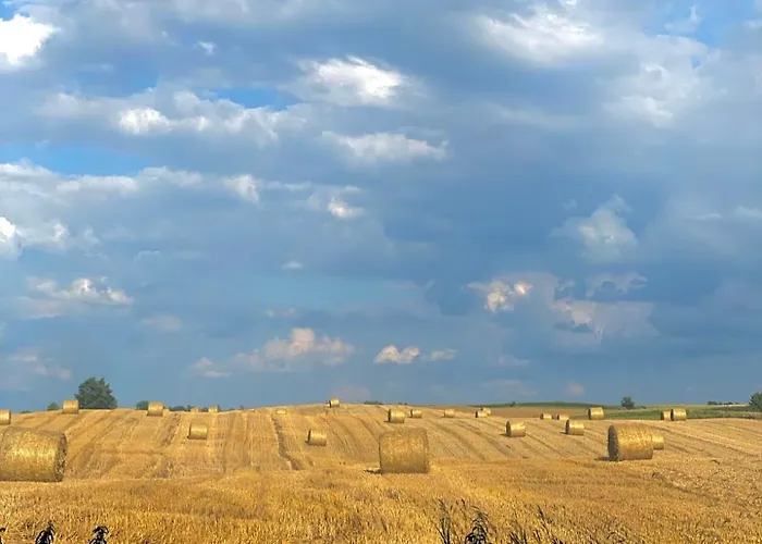 Jak Tu Ladnie - Rodzinne Domki Nad Jeziorem Z Atrakcjami I Domowa Kuchnia I Mazury * Mikołajki